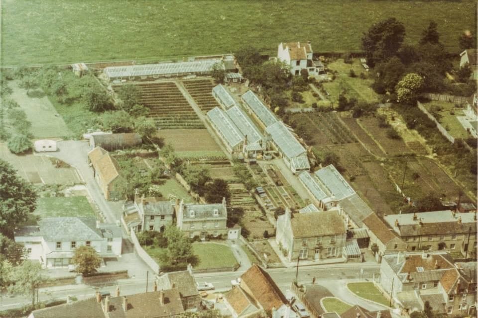 An oblique aerial view showing the arrangement of glasshouses, frames and beds. Images like this are the single most useful evidence for a three-dimensional reconstruction.